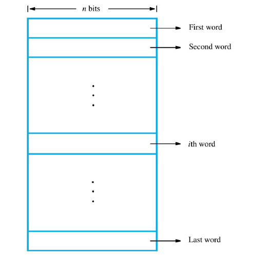 image-20241123122951008