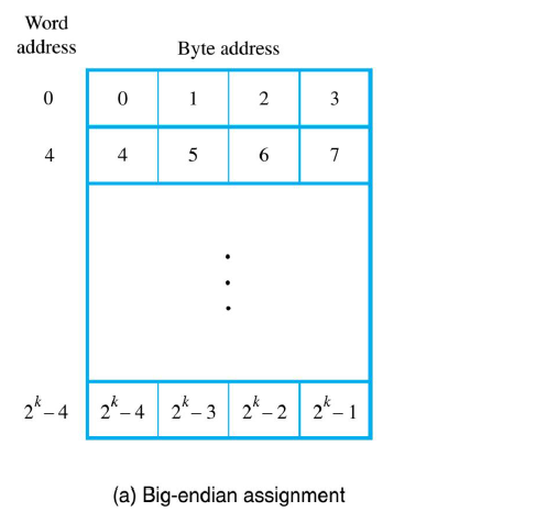 image-20241123123119730