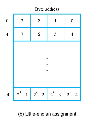 image-20241123123131709