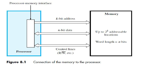 image-20241123123428489