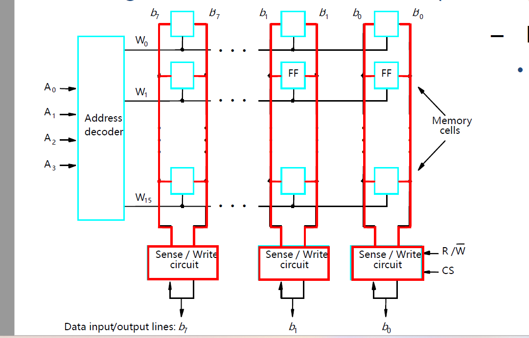 image-20241123130023753