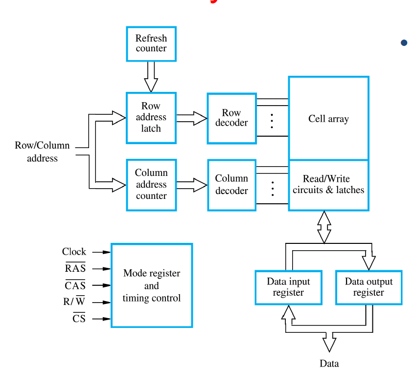 image-20241123134322937